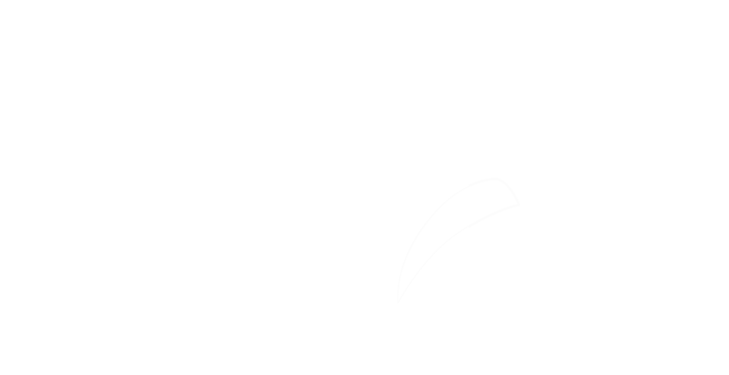 Cyber Essentials Accreditated